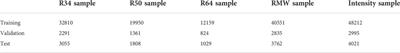 Estimating the tropical cyclone wind structure using physics-incorporated networks